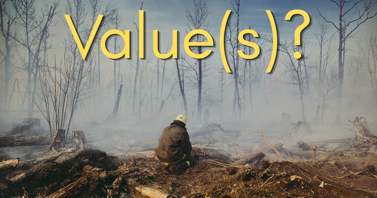 Value(s)? — a firefighter crouches alone in a smoking, burned-out forest